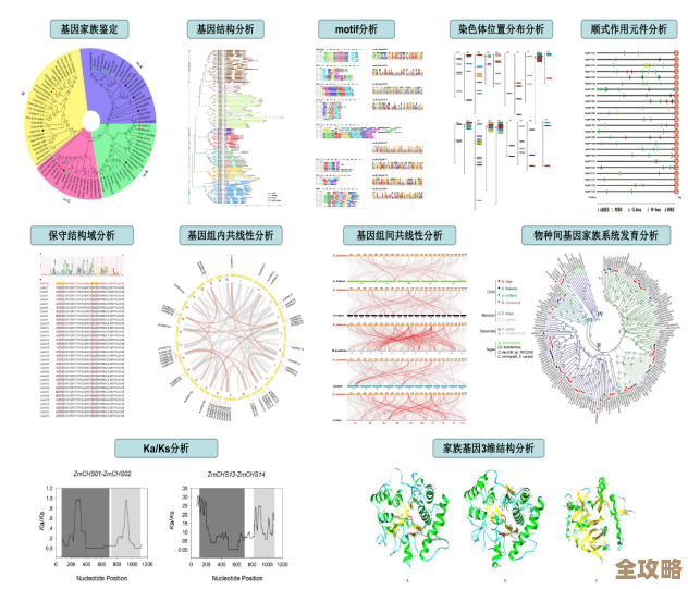 CML247数据库带你了解新型基因表达数据分析那些事儿，挺有意思的一个工具